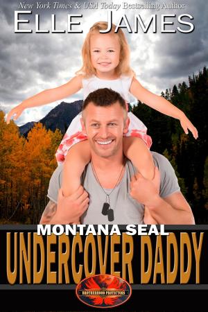 Cover of the book Montana SEAL Undercover Daddy by Rebecca Rohman