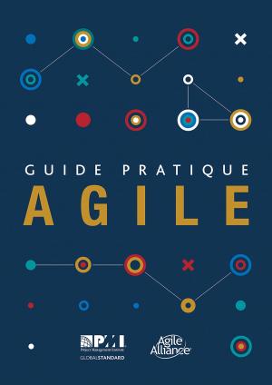 Book cover of Agile Practice Guide (French)