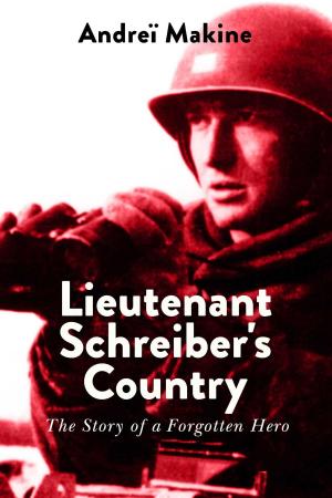 Cover of the book Lieutenant Schreiber's Country by Burton Feldman