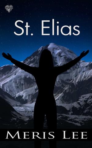 Cover of the book St Elias by Jianne Carlo