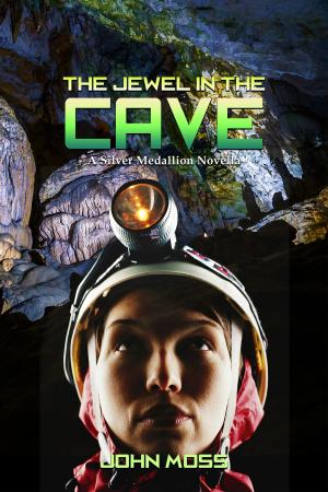 Cover of the book The Jewel in the Cave by Tom Brewster