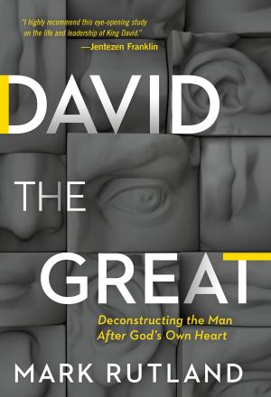 Cover of the book David The Great by James W Goll
