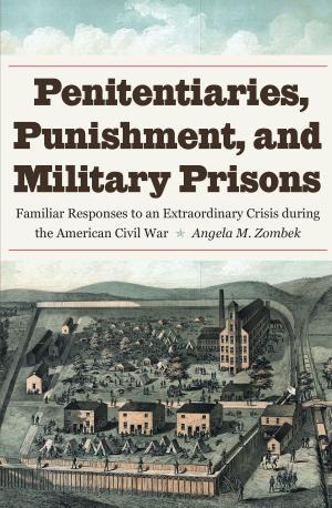 Cover of Penitentiaries, Punishment, and Military Prisons