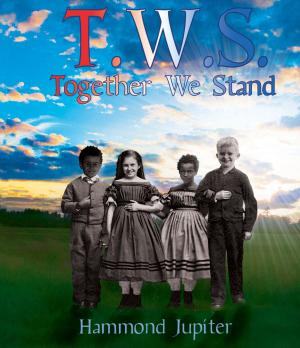 Cover of the book Together We Stand by David McGuigan