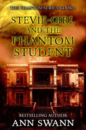 Cover of the book Stevie-girl and the Phantom Student by J.L. Petersen