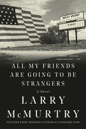 Cover of the book All My Friends Are Going to Be Strangers: A Novel by Adam Winkler