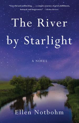 Book cover of The River by Starlight