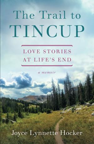Book cover of The Trail to Tincup