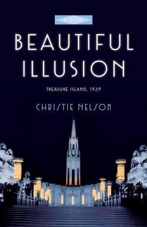 Cover of the book Beautiful Illusion by Dmytro Shynkarenko