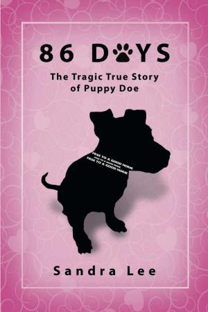 Cover of the book 86 Days by McCarley Slater