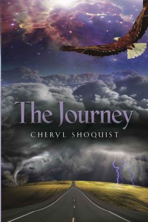 Cover of the book The Journey by Terrell Reagan