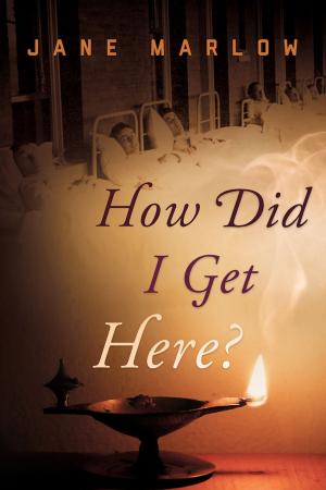 Cover of the book How Did I Get Here? by Giovanni Melappioni