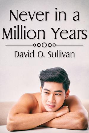 Cover of the book Never in a Million Years by Roberta Ann Roque
