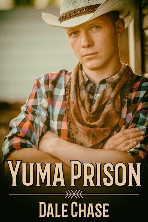 Book cover of Yuma Prison
