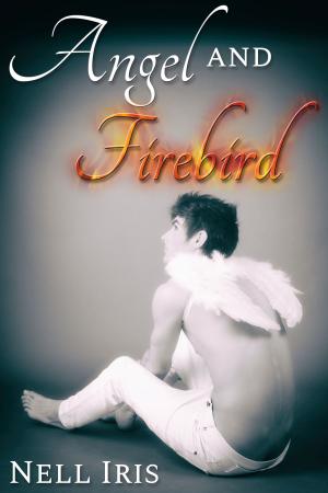 Cover of the book Angel and Firebird by J.M. Snyder