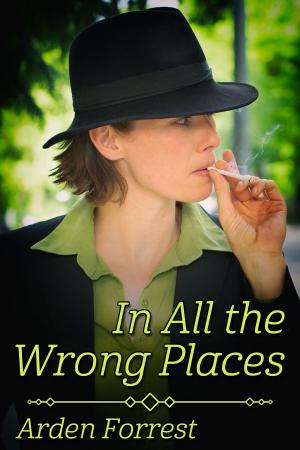 Cover of the book In All the Wrong Places by J.M. Snyder, Drew Hunt, JL Merrow, A.R. Moler, Jeff Adams, Terry O’Reilly, Iyana Jenna, J.D. Walker, Sam Singer, Paul Alan Fahey