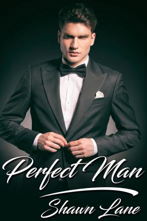 Cover of the book Perfect Man by J.V. Speyer