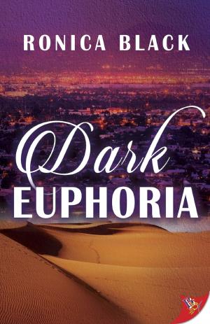 Cover of the book Dark Euphoria by Gun Brooke