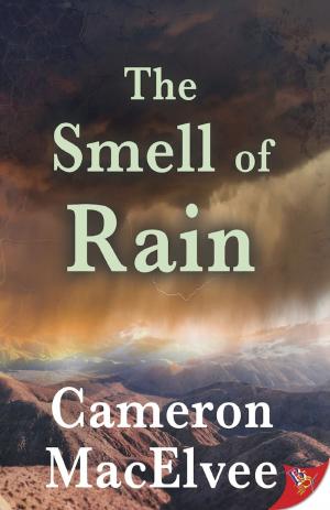 Cover of the book The Smell of Rain by Catherine Friend