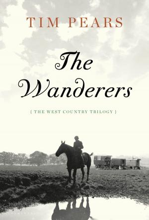 Cover of the book The Wanderers by Maggie Makepeace
