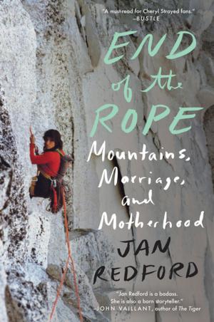 Cover of the book End of the Rope by Anna Journey