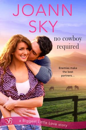 Cover of the book No Cowboy Required by Sarah Andre
