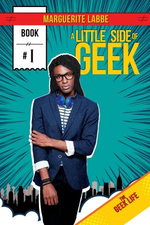 Cover of the book A Little Side of Geek by CJane Elliott