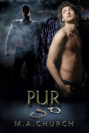 Cover of the book Pur by Erik Scott de Bie