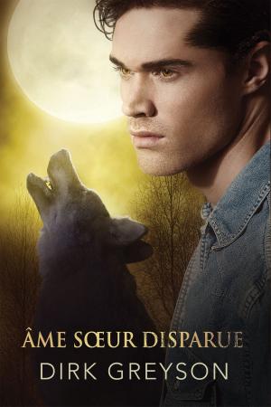 Cover of the book Âme sœur disparue by Andrew Grey
