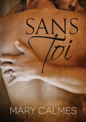 Cover of the book Sans toi by Richard Skolek