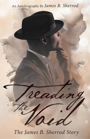 Cover of the book Treading The Void by Jubilee Grace Patterson