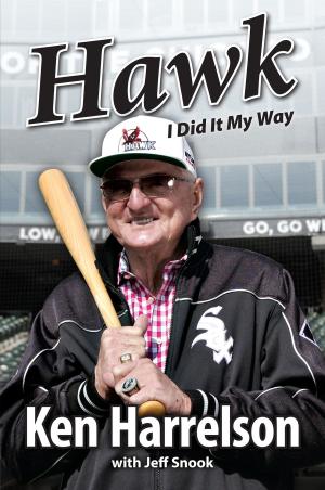 Cover of the book Hawk by Rusty Burson