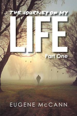 Cover of the book The Journey of My Life by Jeff Falkingham