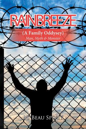 Cover of the book Rainbreeze by David  D Ferman