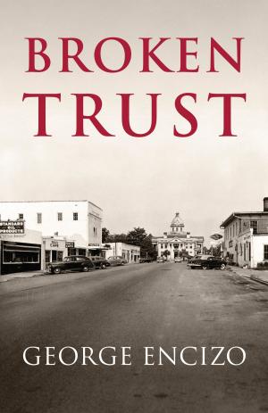 Cover of the book Broken Trust by Mark Andrew Cochran