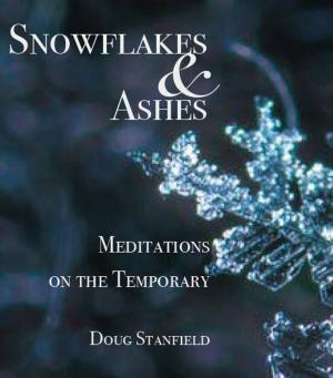 Cover of the book Snowflakes & Ashes by Jared Lubarsky