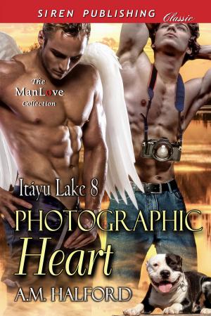 Cover of the book Photographic Heart by Karen Benjamin