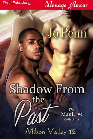 Cover of the book Shadow From the Past by Anitra Lynn McLeod