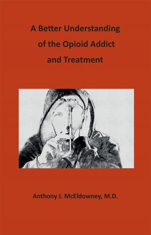 Cover of A Better Understanding of the Opioid Addict and Treatment