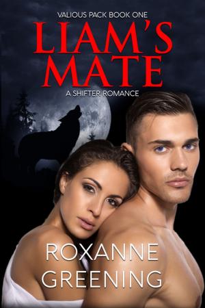 Cover of the book Liam's Mate by Katie Holland