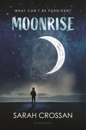 Cover of the book Moonrise by Mr Rohan Dahiya