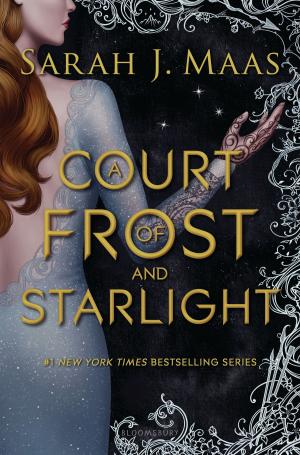 Cover of the book A Court of Frost and Starlight by D. W. Wilson
