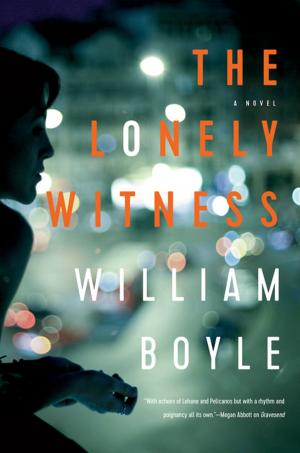 Cover of the book The Lonely Witness: A Novel by Larry Darter