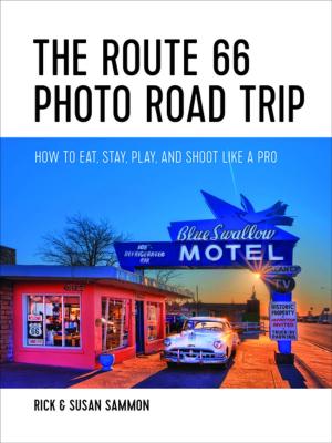bigCover of the book The Route 66 Photo Road Trip: How to Eat, Stay, Play, and Shoot Like a Pro by 