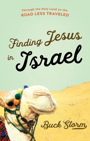 Cover of the book Finding Jesus in Israel by Bob Hostetler
