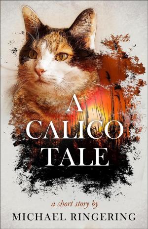 bigCover of the book A Calico Tale by 