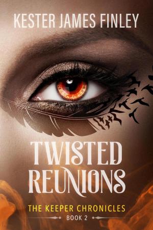 Cover of the book Twisted Reunions by Brian Manning