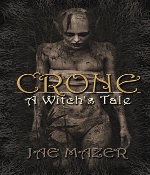 Book cover of Crone
