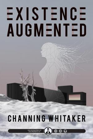 Cover of the book Existence Augmented by Veronique Aspeling