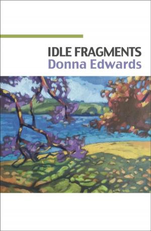 Cover of the book Idle Fragments by Colleen Keating